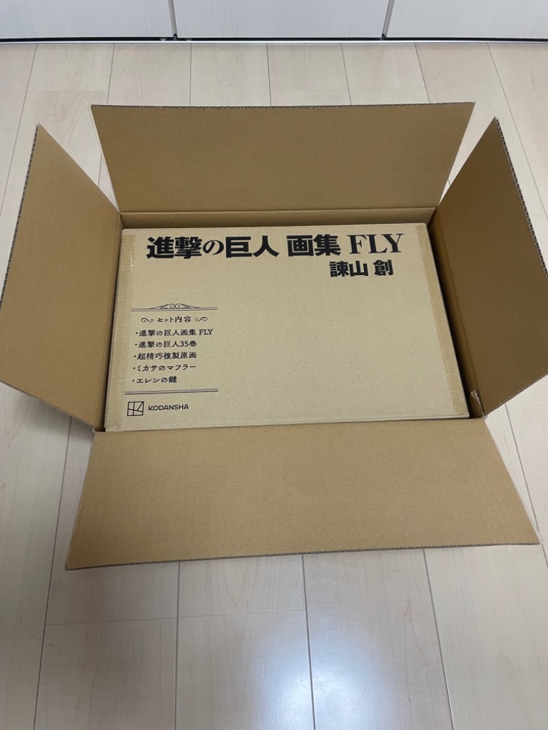進撃の巨人 画集 FLY セット　箱開封のみ 進撃の巨人 画集 FLY 未開封新品 - メルカリ