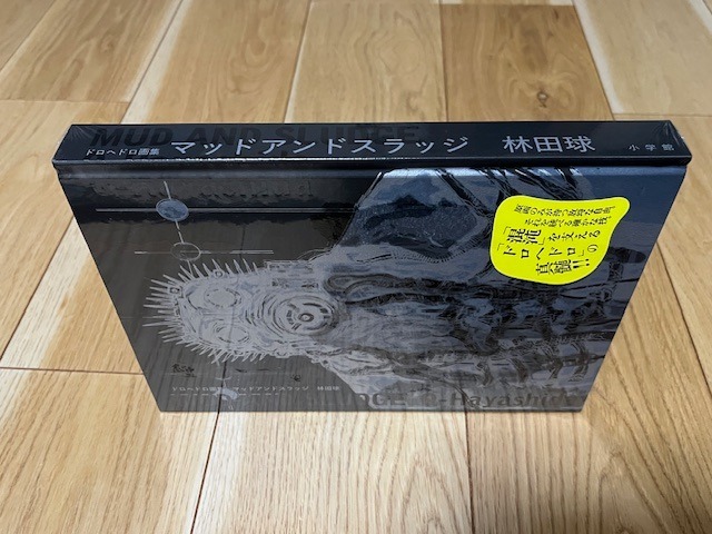 Amazon.co.jp: ドロヘドロ 画集 マッドアンドスラッジ 林田球