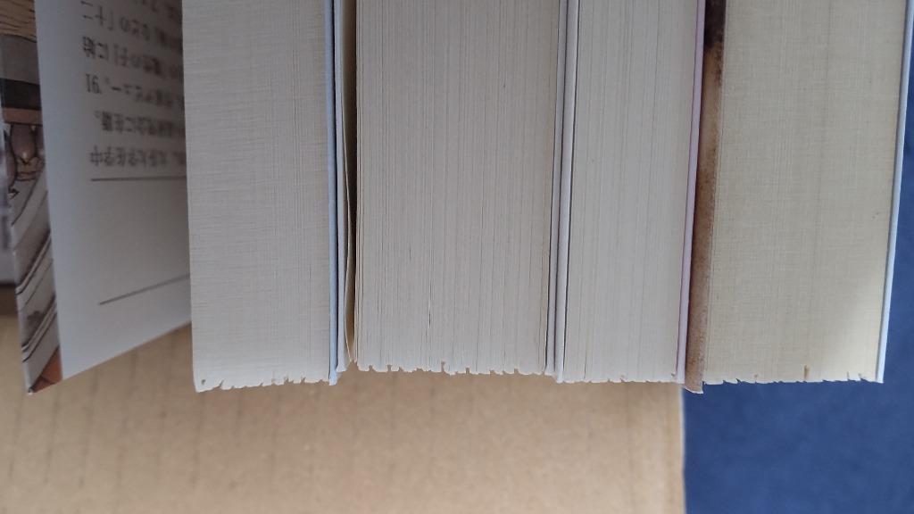 新品 / ライトノベル 十二国記(全15冊) 全巻セット : 漫画全巻