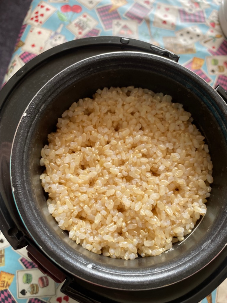 米 お米 10kg 農家蔵出し米 ブレンド米 セール 無洗米 送料無料