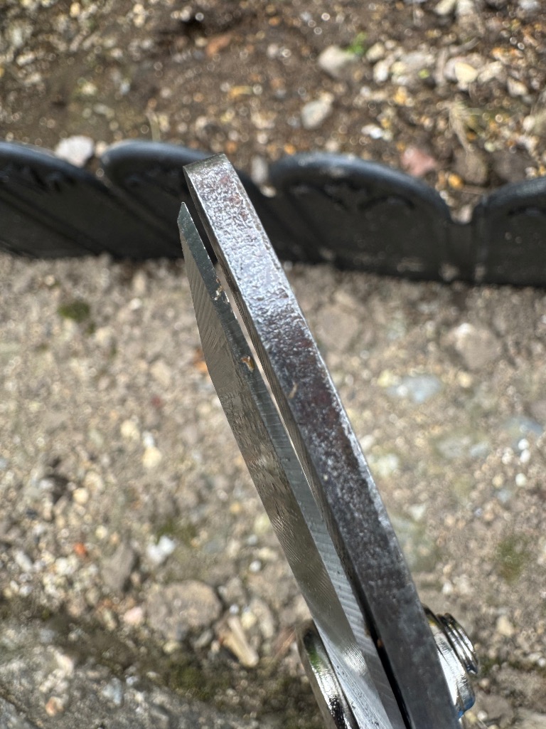 全体のレビュー画像 | 10-1