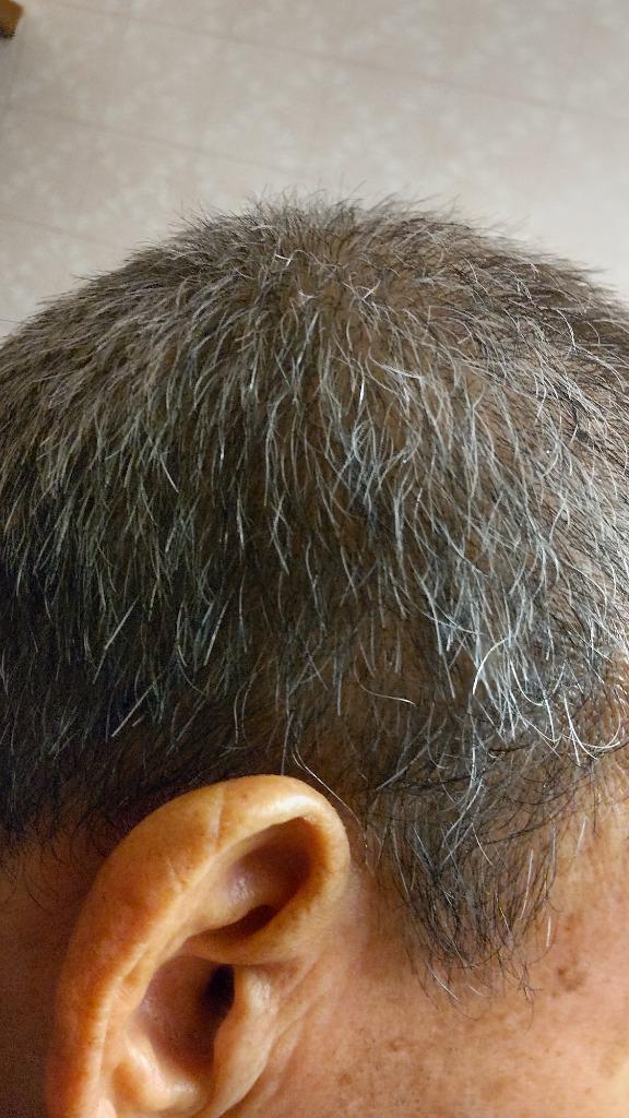 サンカラーマックス メンズ ヘアカラーリング ブラック 男性用 75g×2個