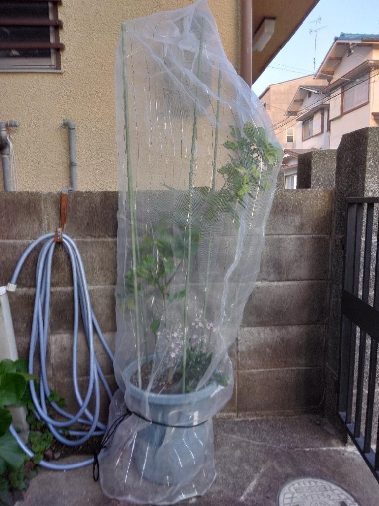買い物 実のり野菜の虫よけカバー 鉢 露地用 ファスナー付き １４５×１７５ｃｍ