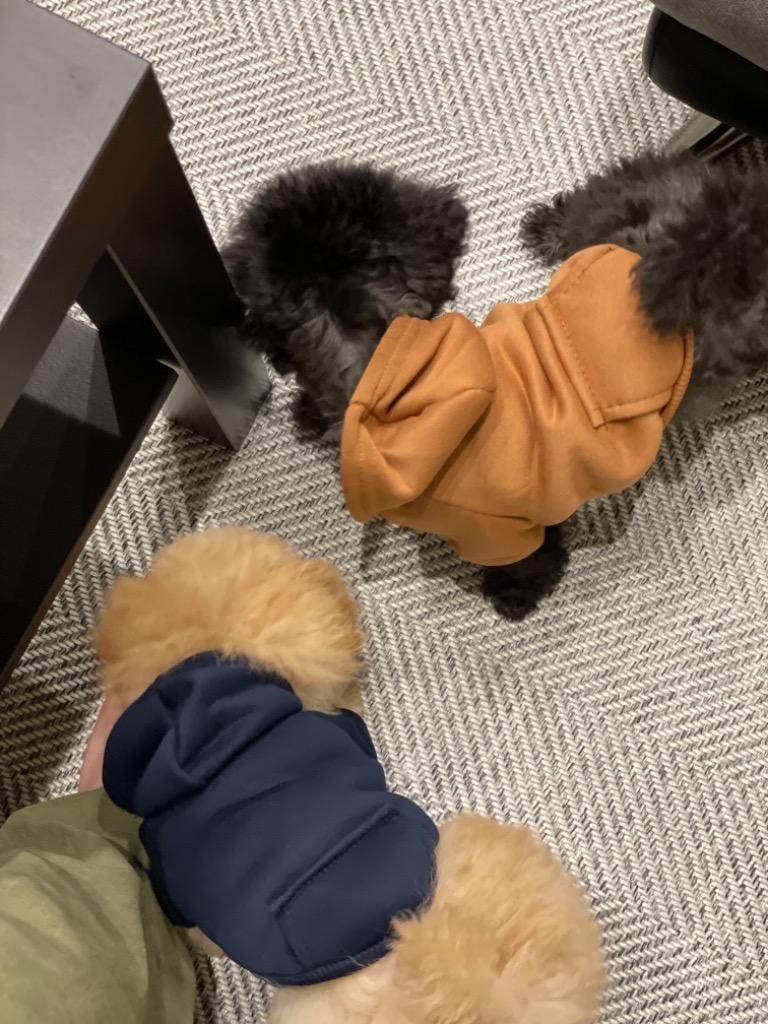 レビュー画像