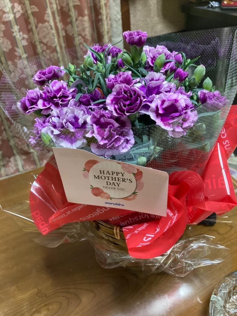 1件目のレビュー画像 | 0