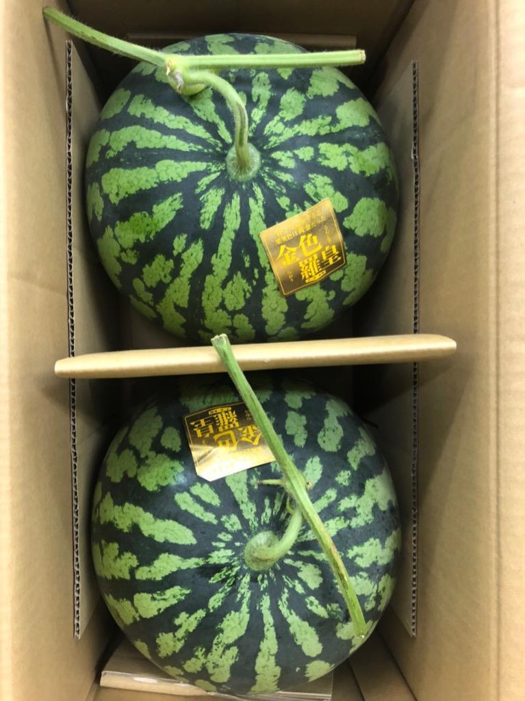 金色羅皇 こんじきらおう 2玉入り 大玉 すいか 入荷次第発送