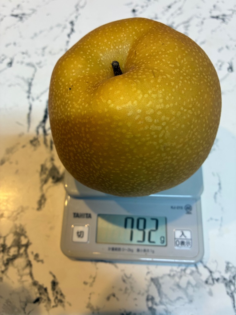 新高 お試し 2玉入り ジャンボ梨 1玉当たり700g〜1000g : 厳選