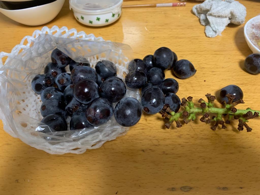 【ゆらりん】巨峰の粒　箱込1kg弱 種無し巨峰 箱込 約1キロ前後 巨峰 ぶどう : 厳選フルーツ
