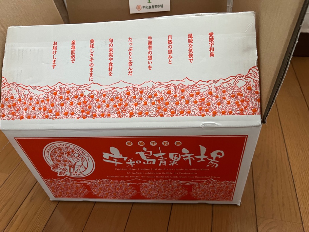 レビュー画像