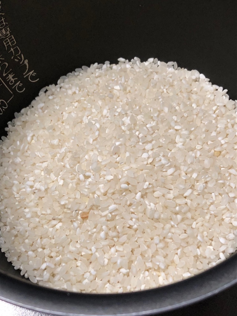 国内産ブレンド米10kg(小粒なお米と白いお米入り)