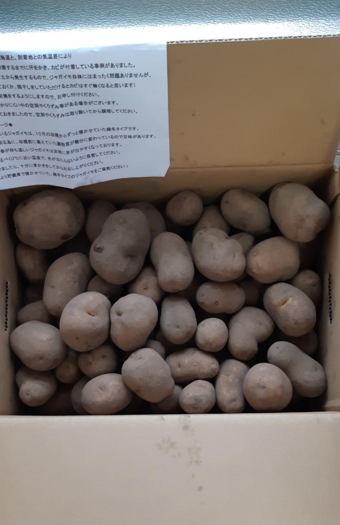 インカのめざめ 10kg 新じゃがいも 北海道産 ジャガイモ 送料無料 :inka-3:しれとこ本舗 - 通販 - Yahoo!ショッピング