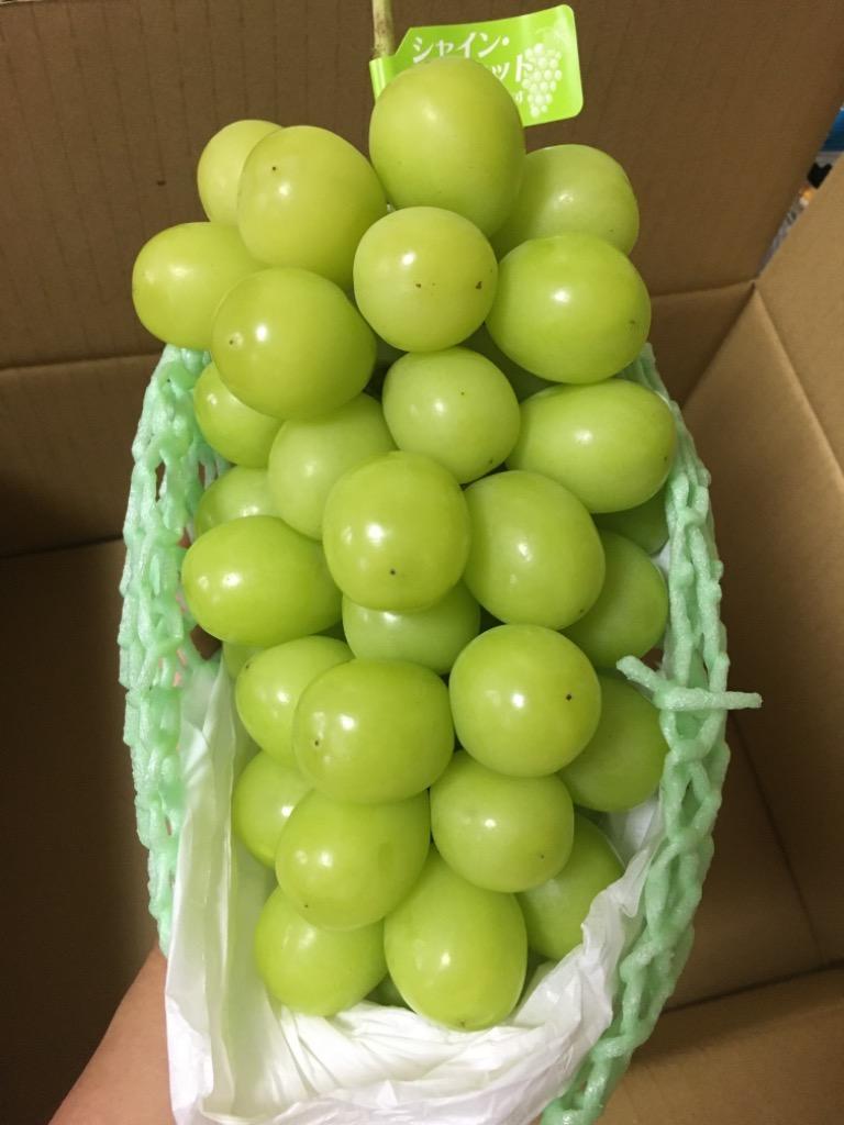 1件目のレビュー画像 | 3