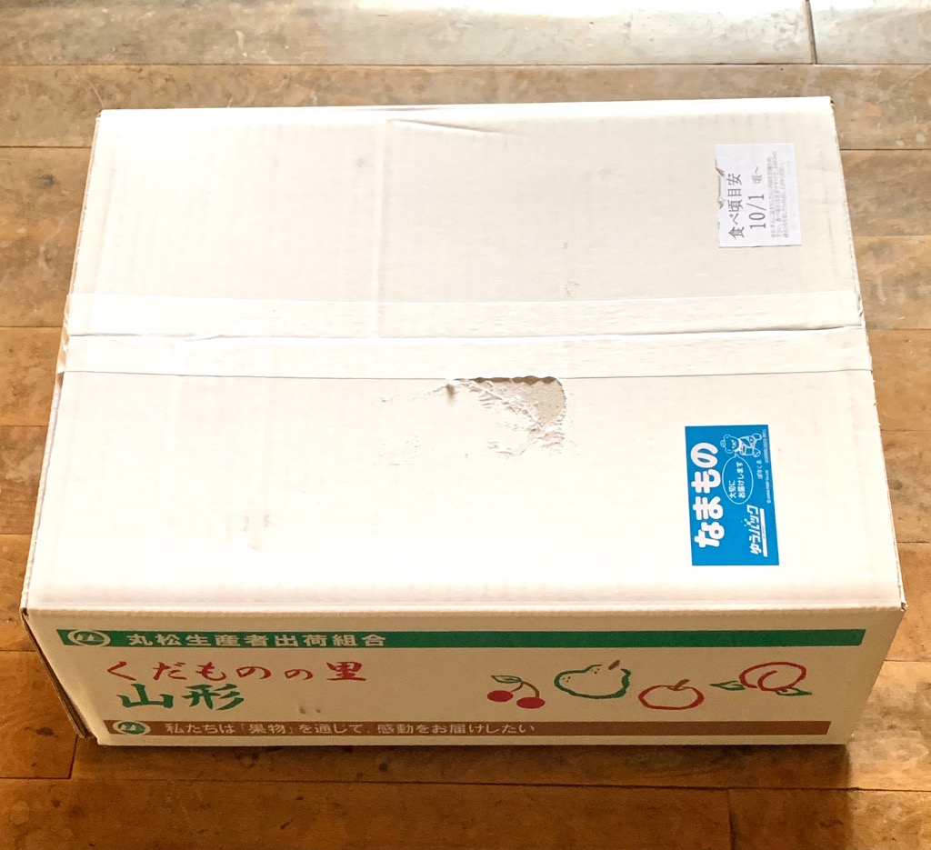 レビュー画像
