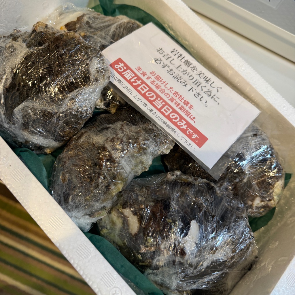 牡蠣 岩ガキ 殻付き 生食用 石川県 大サイズ 5個 産地直送 かき