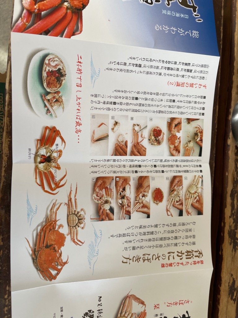カニ 訳あり かに 蟹 ズワイガニ セコガニ 香箱蟹 せいこ お試し
