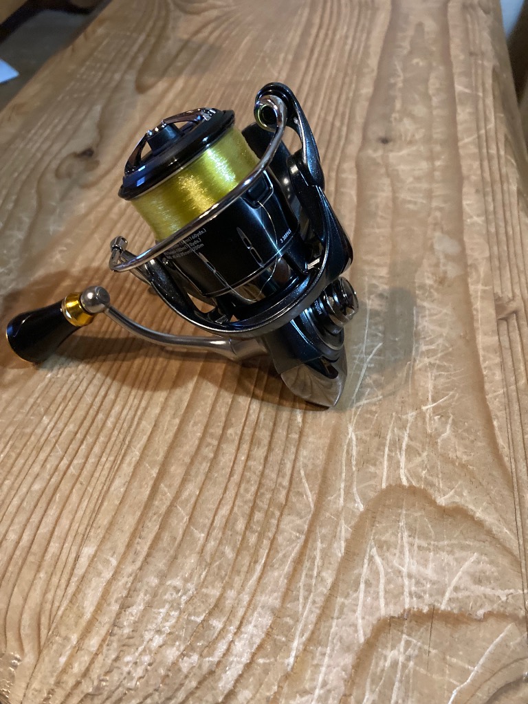 DAIWA（釣り） 24 ルビアス LT2000S-H スピニングリール - 最