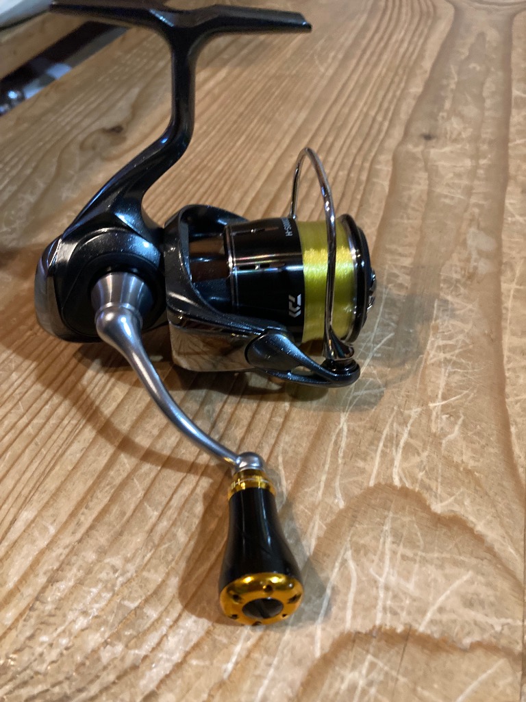 Amazon.com : Daiwa LT2000S-H Spinning Reel 24L UVIAS