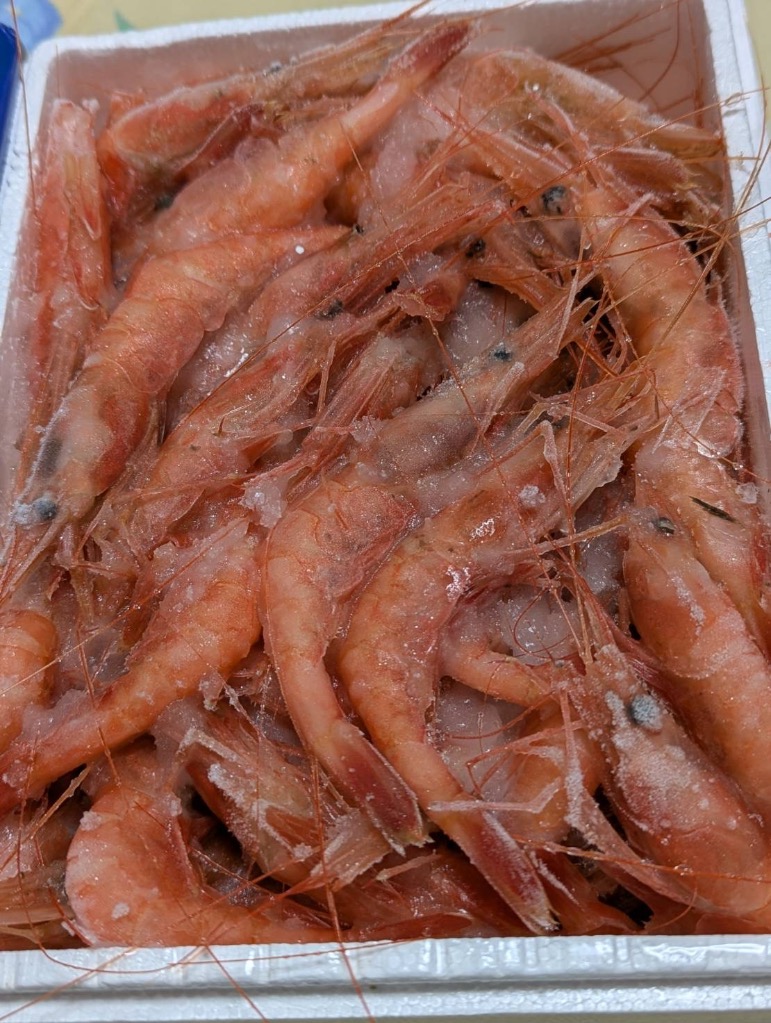 全体のレビュー画像 | 1-0