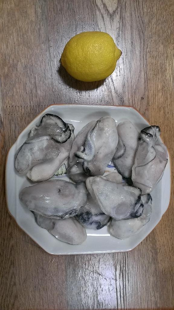お一人様限定特別価格！　注文受付後水揚げ！真牡蠣10kg お一人様限定特別価格！ 注文受付後水揚げ！真牡蠣10kg