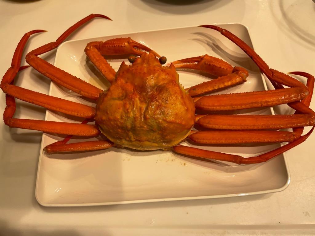 タルル様　29日到着希望　紅ズワイ　1箱 ≪超早割☆2，900円オフ お歳暮ギフト≫稀少！大ズワイガニ