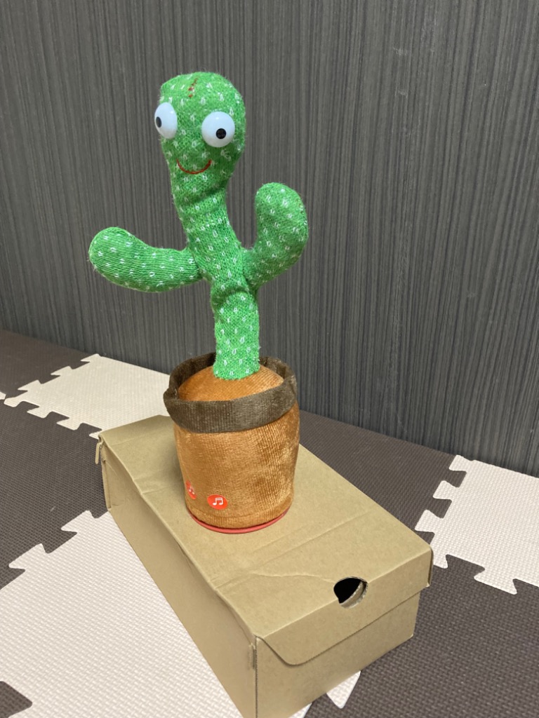 レビュー画像