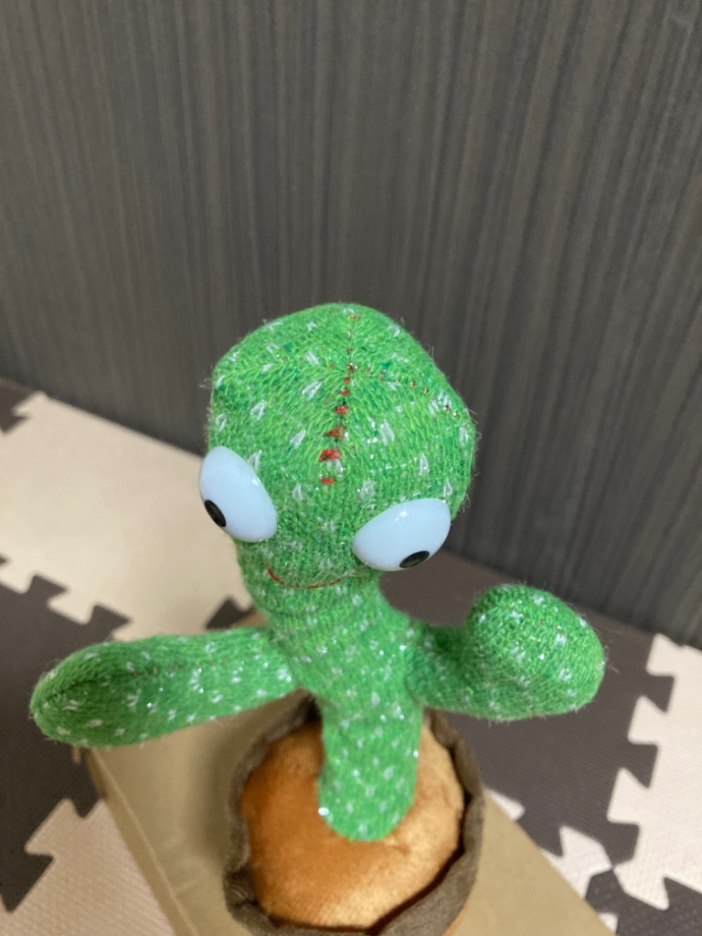 レビュー画像