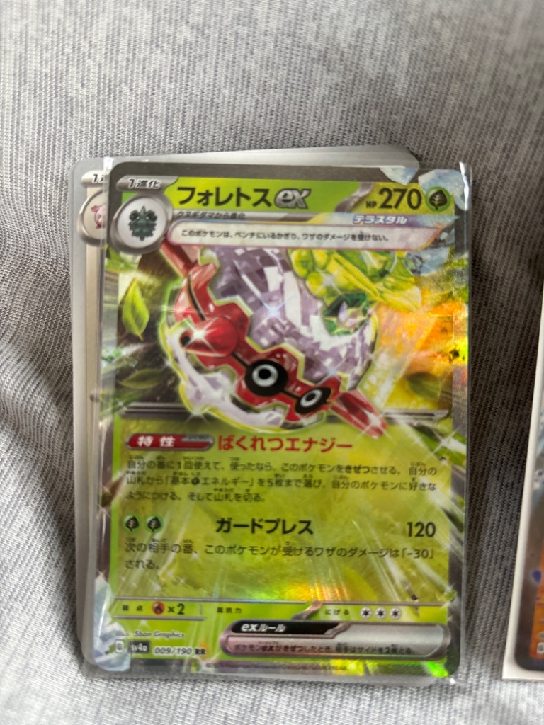 ポケモンカードゲーム 超大リニューアル 年間ランキング1位