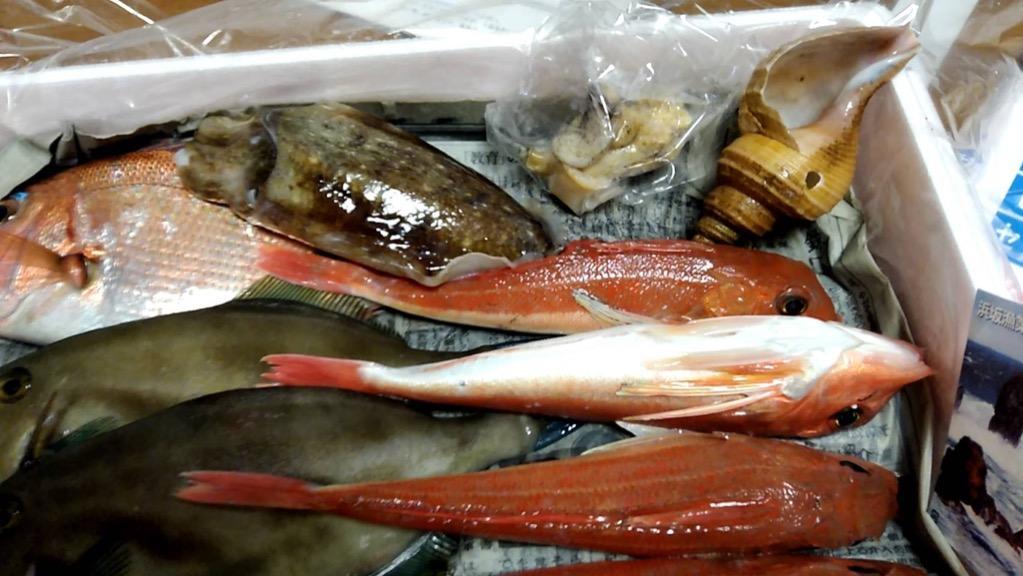 送料無料 山陰浜坂港直送 朝とれおまかせ鮮魚 魚介3780円（税込）セット (丸のまま・下処理なし) （海鮮 ギフト 魚介詰め合わせ、鮮魚ボックス）  :1234:毎日漁港へ目利き一筋!かにの山米 - 通販 - Yahoo!ショッピング