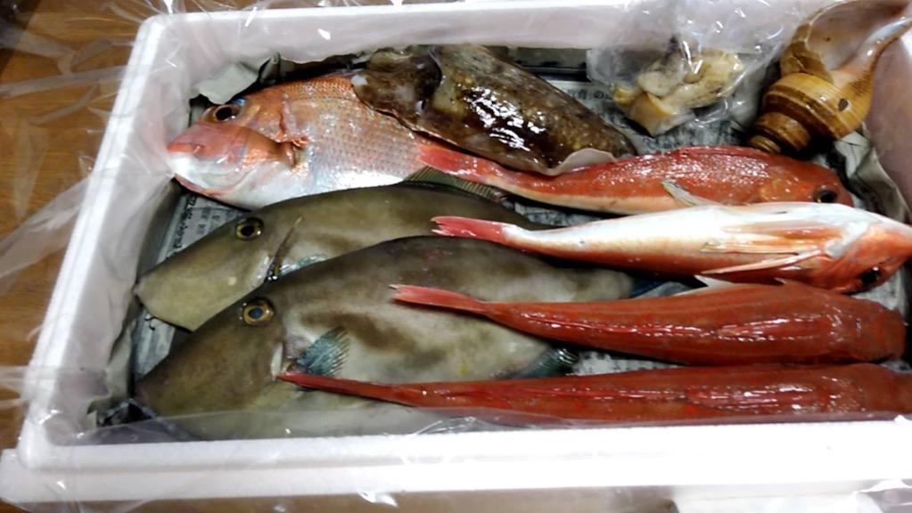 送料無料 山陰浜坂港直送 朝とれおまかせ鮮魚 魚介3780円（税込）セット (丸のまま・下処理なし) （海鮮 ギフト 魚介詰め合わせ、鮮魚ボックス）  :1234:毎日漁港へ目利き一筋!かにの山米 - 通販 - Yahoo!ショッピング
