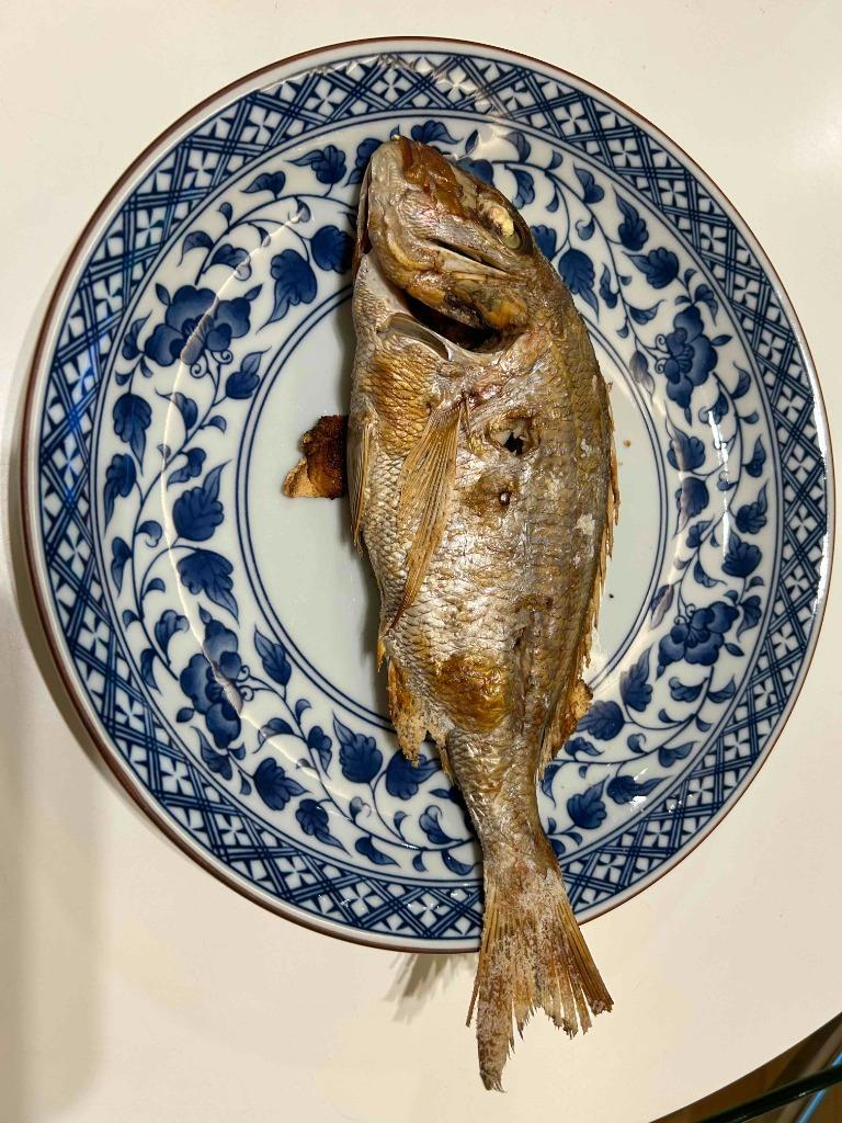 天然・真鯛（下処理済み・冷凍） 1尾 約28-30cm (浜坂産