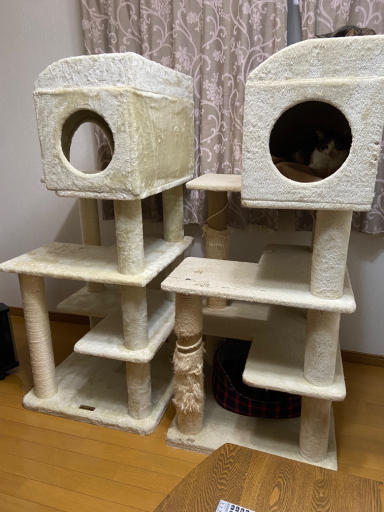 キャットタワー Mauタワー ゴールドクレエ 人気 キャットタワー 大型猫 