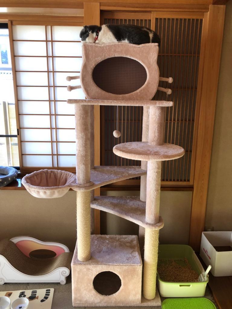 全体のレビュー画像 | 2-0