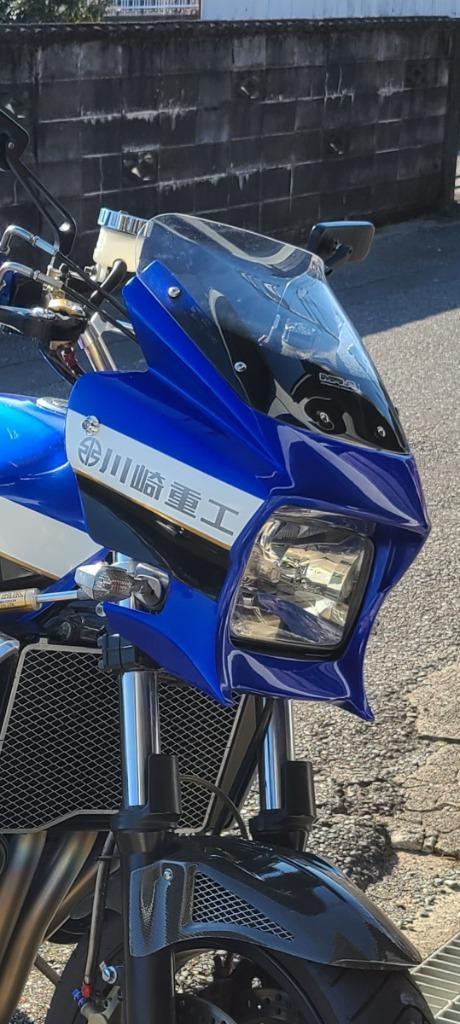 BigOne コスパ良 DAEG ダエグ 顔 Kit ZRX400 ZRX1100 ZRX1200R エアロ