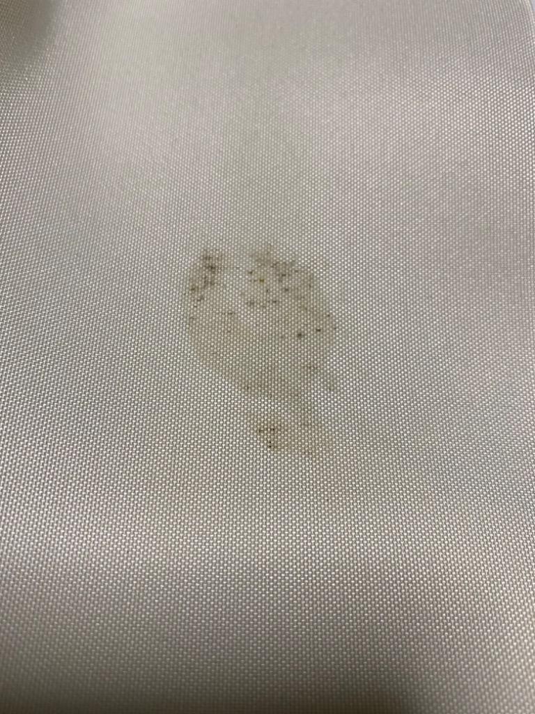 全体のレビュー画像 | 1-0