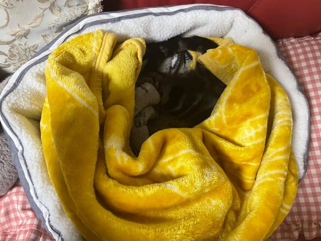 2件目のレビュー画像 | 1