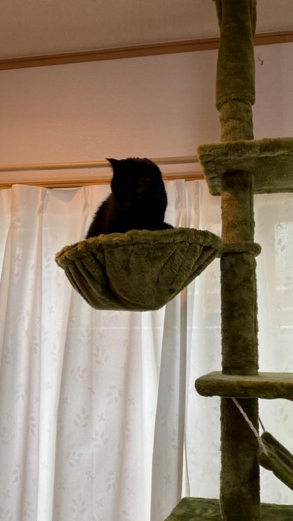 キャットツリー タワー 麻ひも 猫タワー 突っ張り 全高235 255cm 運動不足 キャットツインタワー Eagle Twin Tower 爪とぎ 部屋 階段 おすすめ 送料無料 Max A マックスシェアーヤフー店 通販 Yahoo ショッピング