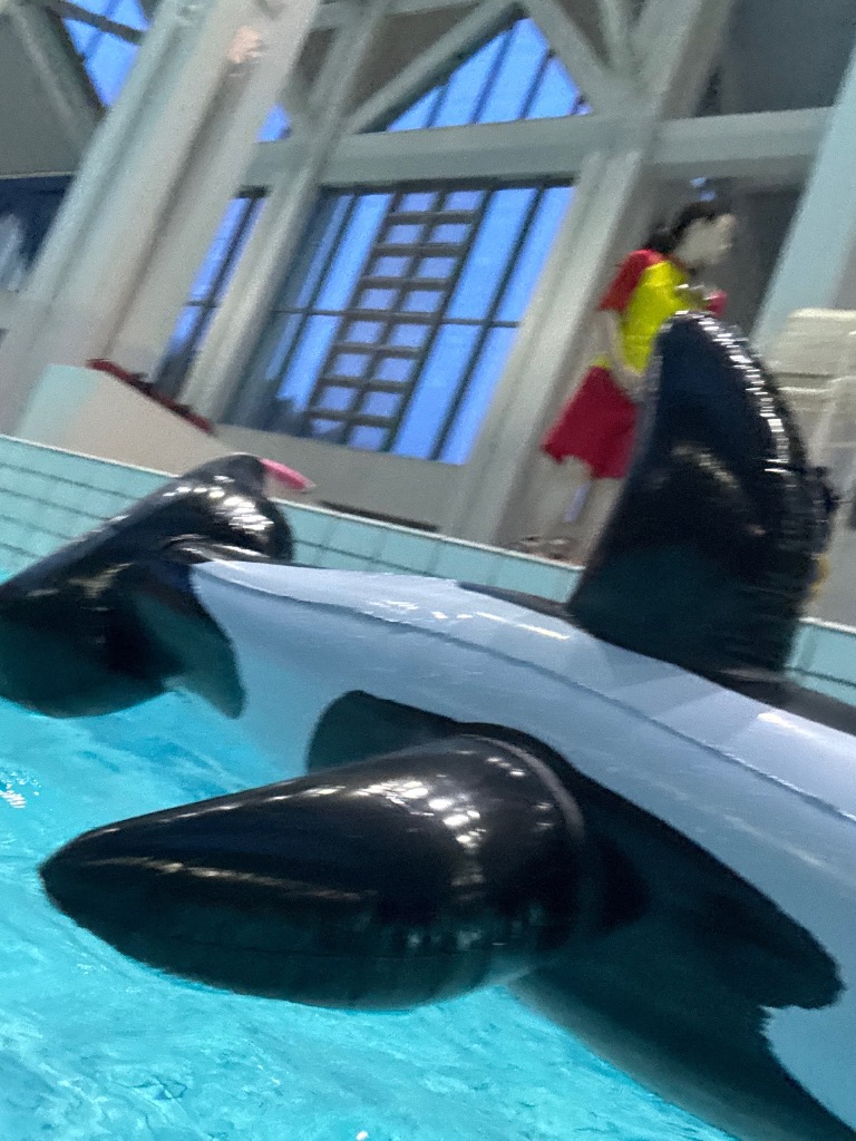 1件目のレビュー画像 | 0