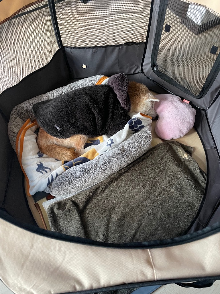 全体のレビュー画像 | 0-0