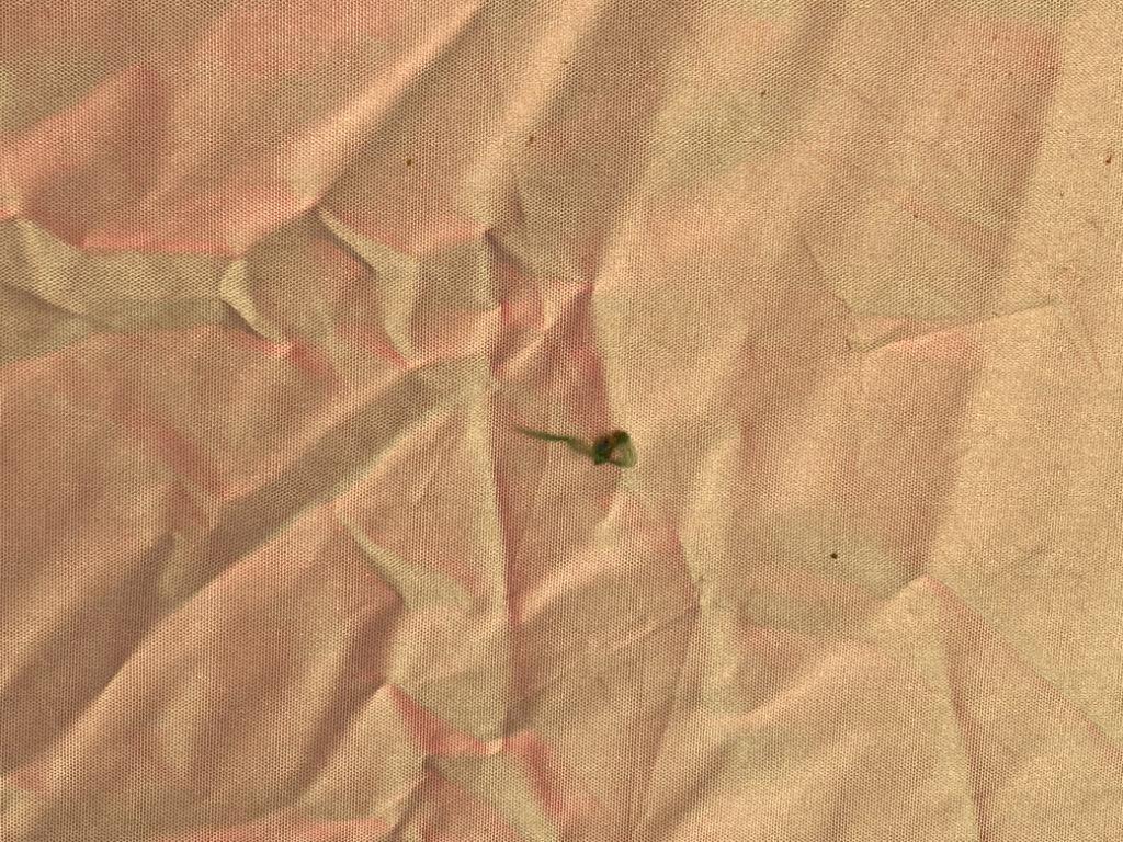 全体のレビュー画像 | 0-1