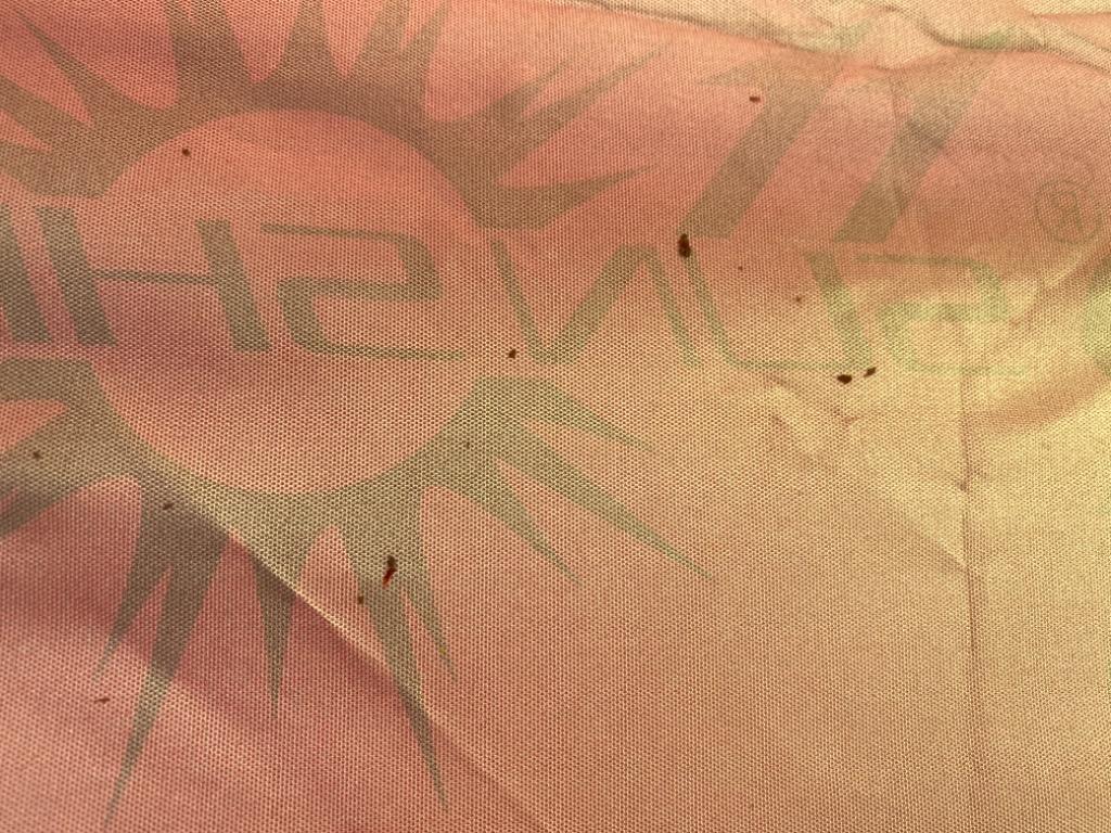 全体のレビュー画像 | 0-2