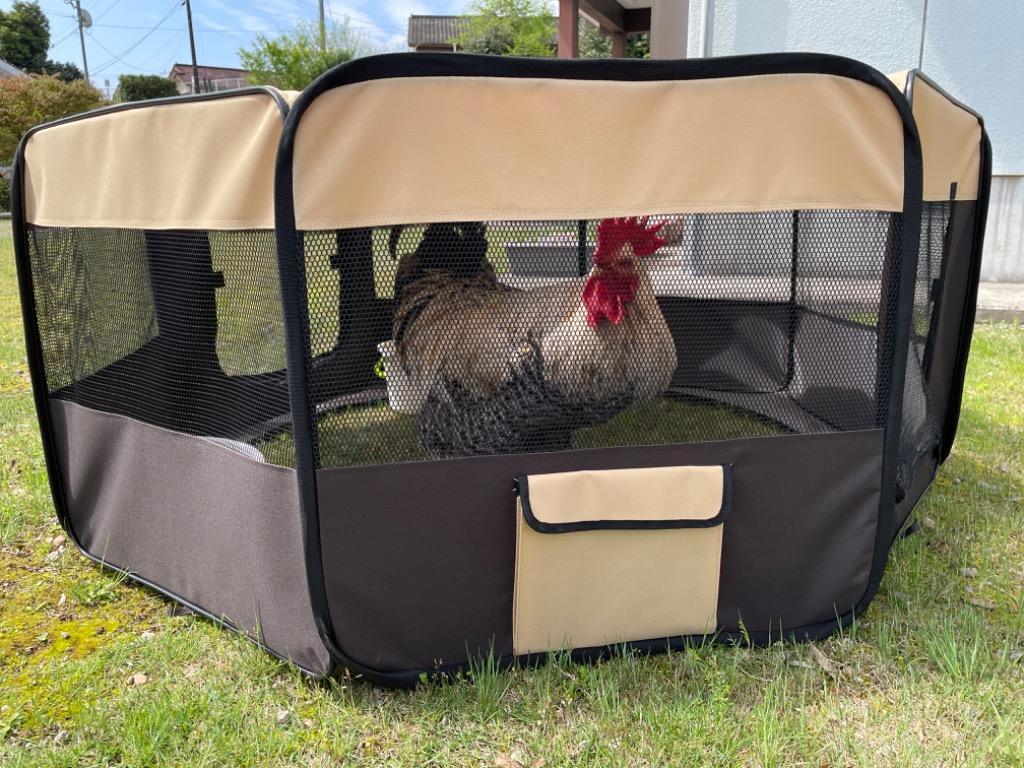 全体のレビュー画像 | 8-0