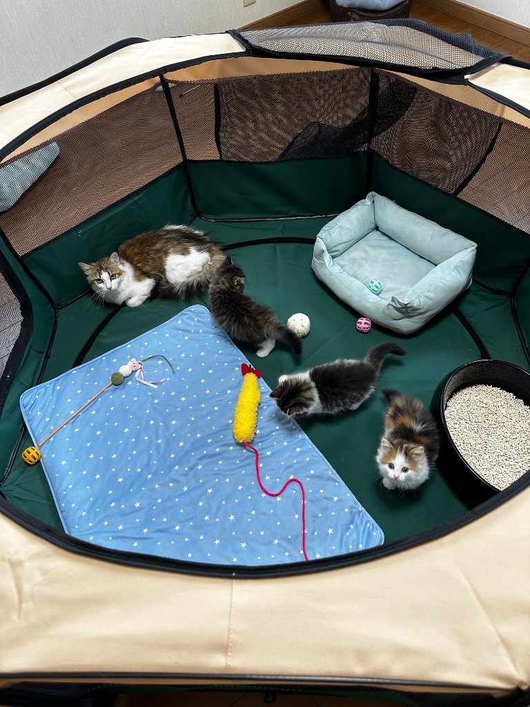 全体のレビュー画像 | 0-0