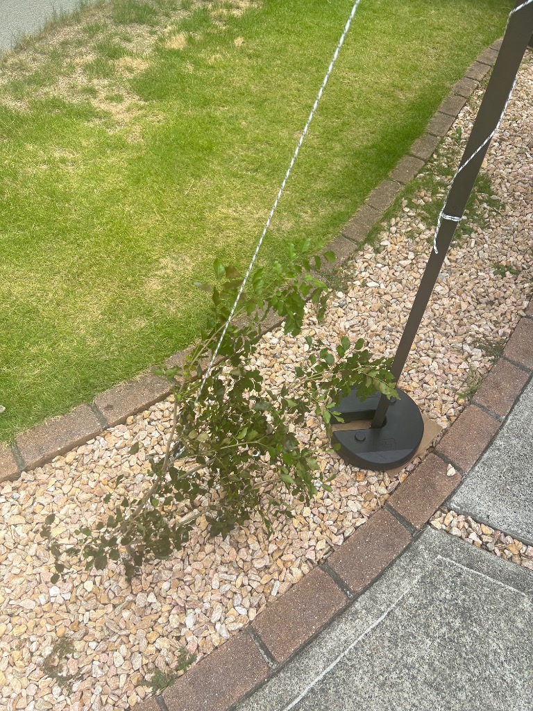 全体のレビュー画像 | 0-1