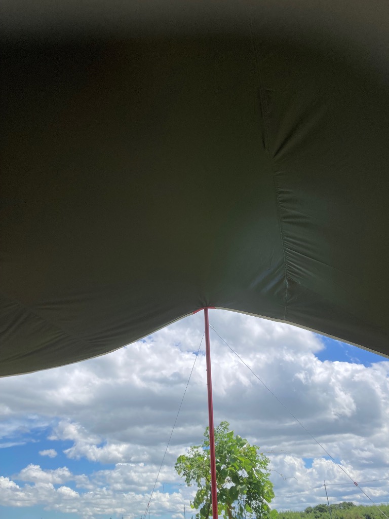 9件目のレビュー画像 | 1