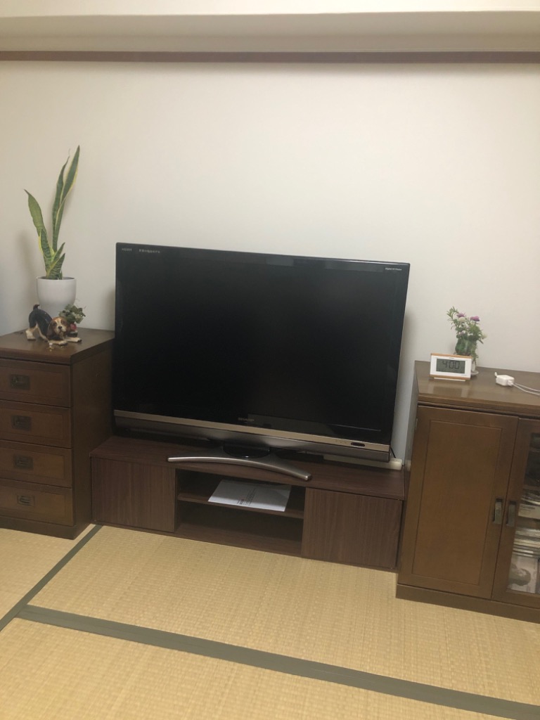 テレビ台 ローボード 扉付き 幅120cm 32型〜50型 ロータイプ