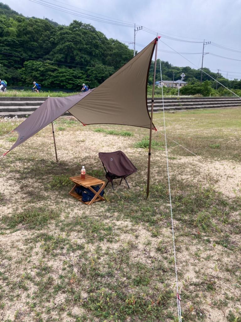 ヤフー1位 タープ ウイングタープ 安心の1年保証 380×380cm ウィング