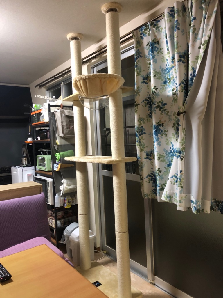 全体のレビュー画像 | 0-0