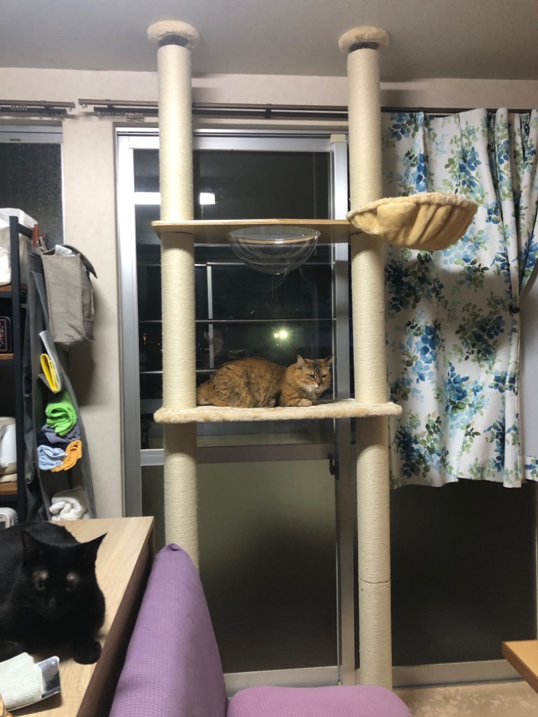 全体のレビュー画像 | 0-1