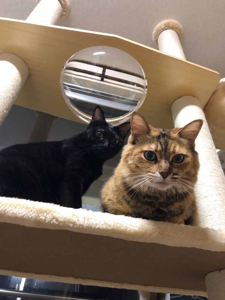 全体のレビュー画像 | 0-2