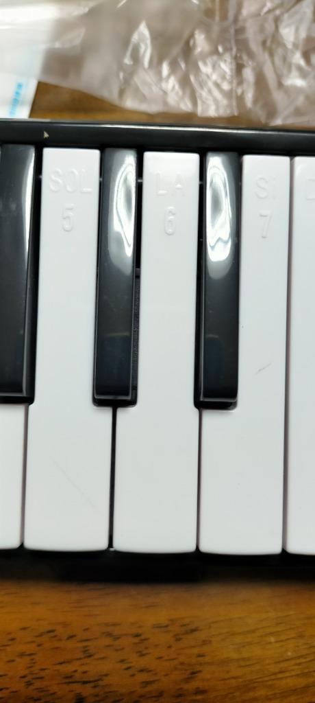 ヤフー1位 1年保証 鍵盤ハーモニカ 32鍵盤 ケース付き 卓奏用 立奏用 